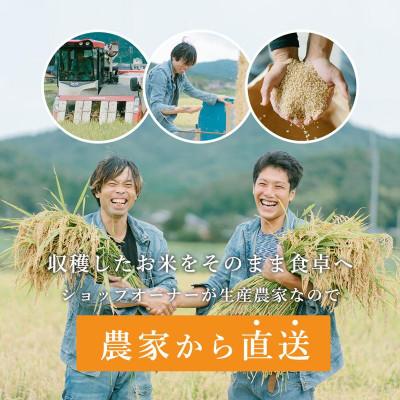 ふるさと納税 与謝野町 令和8年新米　京都与謝野町産エナジーこしひかり精米5kg×6袋　農家直送 |  | 01