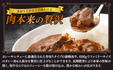 北海道産 黒毛和牛 うらほろ完熟ビーフ 600g 角切り カレー シチュー 熟成 浦幌