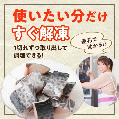 ふるさと納税 泉佐野市 【3ヵ月毎定期便】さわら 切身 約50g×20切れ 1kg×全2回 G3737-1 |  | 03