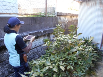 お手軽「建物外部＋お庭」3ヶ月コース チケット サービス 空き家 留守宅 持ち家 管理 劣化 資産価値 定期的 巡回 ポスト 庭木 近隣 