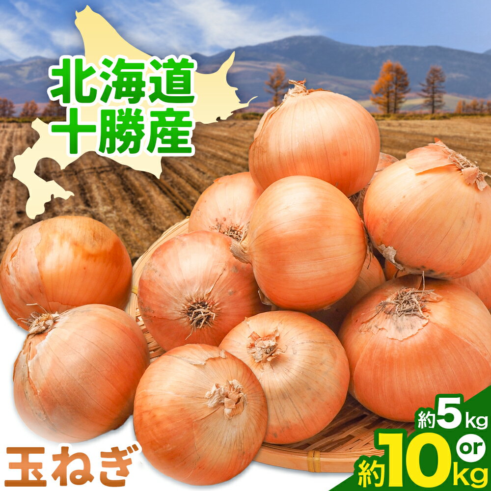 【ふるさと納税】【先行予約】 玉ねぎ たまねぎ 玉葱 選べる 約5kg 約10kg サイズ混合《2026年10月上旬‐11月中旬頃出荷》嶋崎農園 送料無料 北海道 本別町 北海道 十勝 本別町産 オニオン カレー サラダ スープ 野菜