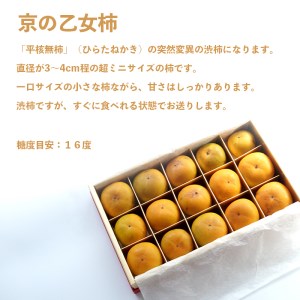 【2026年秋発送】 オーガニック柿 京の乙女柿 15個 箱入り （有機ＪＡＳ認定 121-008 有機柿 ）
