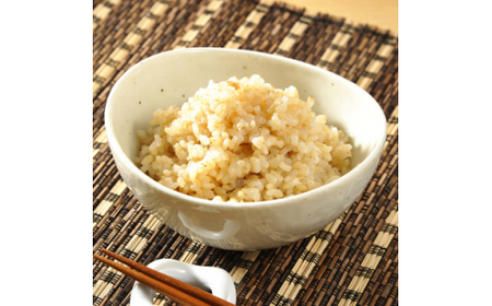 ★☆ 関東地方限定配送 ☆★ 那珂川の清流ホタル米 【玄米】30kg 検査1等 令和7年産コシヒカリ (AX007)