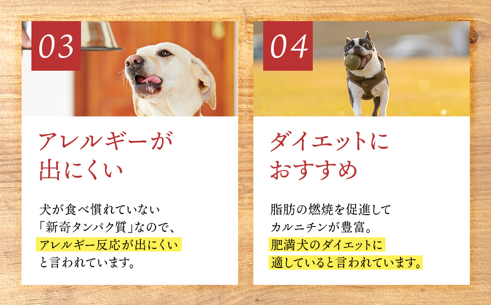 愛犬用　無添加おやつ エゾ鹿スライスジャーキー　30g×1袋ペットフード 愛犬用 無添加 犬用おやつ ペット ドッグフード 犬用 SIZUKA