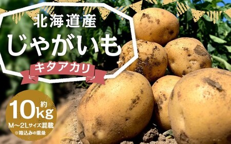 北海道産 じゃがいも キタアカリ M～2Lサイズ混載 約10kg 1箱 山田農場 ジャガイモ 芋 いも イモ 国産 【2026年9月下旬-2027年1月上旬迄発送予定】
