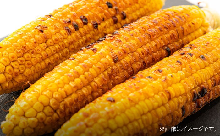 高糖度 かんかんむすめ 糖度 コーンスープ 甘さ コーン おやつ BBQ バター焼き 野菜 とうもろこし 糖度  菊陽町