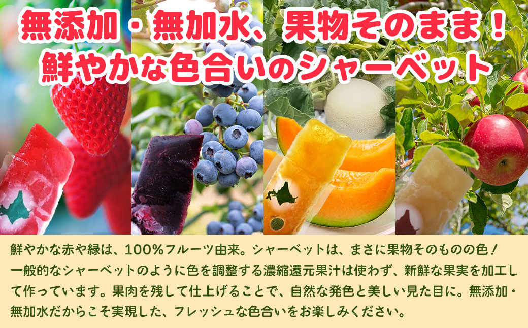 北海道 豊浦町 シャーベット 4種 味くらべ 各3本ずつ（ ブルーベリー、いちご、メロン、りんご ） TYUN018