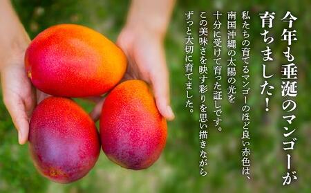 <先行予約・数量限定>アップルマンゴー 良品(1kg)|マンゴー 限定 良品 沖縄県 南城市 1kg 冷蔵 予約 先行受付 アップルマンゴー 送料無料 KM003