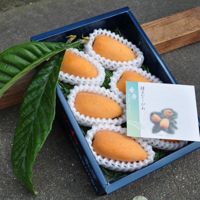 【先行予約】4月下旬頃より順次発送　種無し房州びわ「希房」 2Lサイズ6粒　化粧箱入り【配送不可地域：離島・沖縄県】