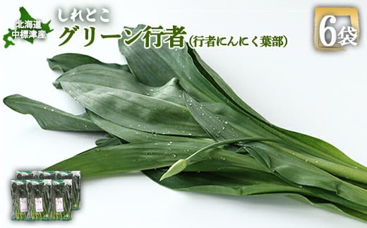 
行者にんにく グリーン行者 葉部 6袋 オンライン 申請 ふるさと納税 北海道 中標津 行者ニンニク 幻の山菜 山菜 山の幸 野菜 疲労回復 健康効果 長寿 体力増強 ダイエット効果 焼肉 卵とじ トッピング おひたし おかず 冷凍 中標津町【20011】
