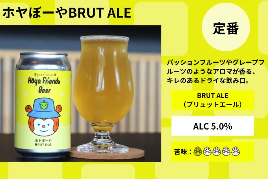 4回 定期便 ビール Hoya Friends Beer 定番3種各1缶 季節限定3缶 計6本 総計24本 セット