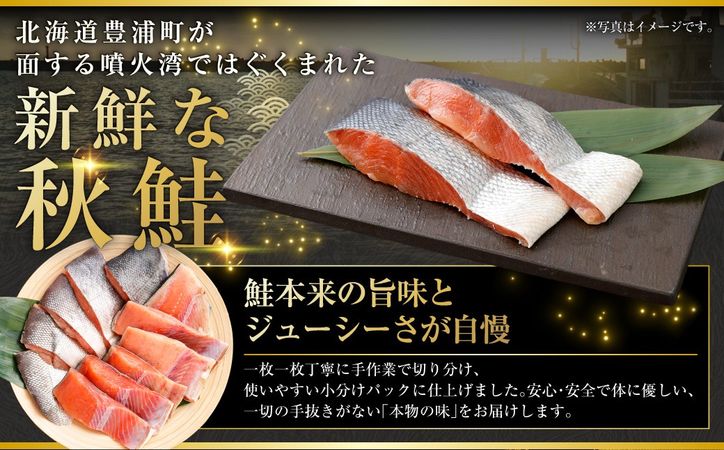 漁師の手作り！ 甘塩鮭 切り身 約3kg （2～3切れ入×10パック）甘塩仕上げ 小分け