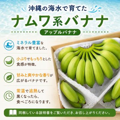 ふるさと納税 今帰仁村 【2026年6月上旬から順次発送】今帰仁産のうみしおバナナ2kg |  | 01