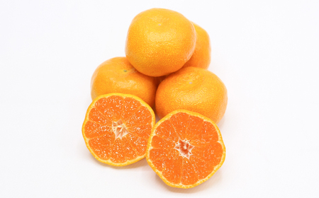 【2026年発送分 先行予約】佐賀県ハウスみかん約1.8kg / みかん 蜜柑 果物 フルーツ 柑橘 唐津 九州 / リフルット株式会社 [41ABAA024]
