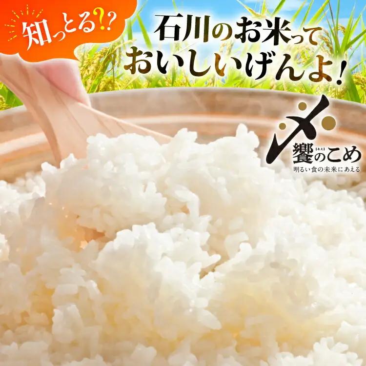 米 定期便 能登米 こしひかり 5kg ×12回