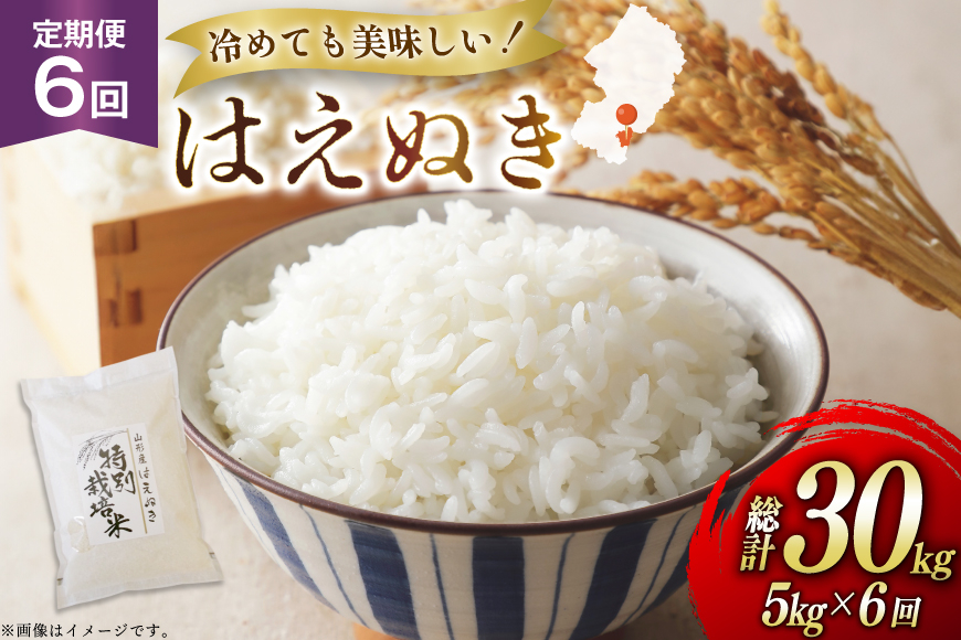 
            米 定期便 6回 令和7年 はえぬき 5kg 6回 計30kg [渡部ファーム 山形県 高畠町 tk06ays810042] お米 白米 精米 ごはん ご飯 ブランド米
          