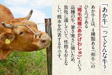 熊本県産和牛あか牛ロースステーキ500g《90日以内に出荷予定(土日祝除く)》熊本県 葦北郡 津奈木町 津奈木食品 あか牛 牛肉 牛 肉 すてーキ ロースステーキ