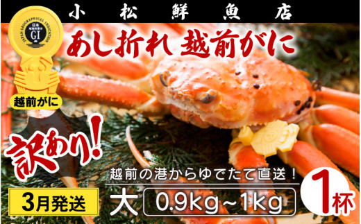 【訳あり】越前がに本場の越前町からお届け！足折れ 越前がに 浜茹で 大サイズ（生で0.9～1kg） × 1杯【かに カニ 蟹】【福井県 越前町 雄 ズワイガニ ボイル 冷蔵 越前ガニ 越前かに 越前カニ ずわいがに ずわい蟹 かに カニ 蟹】【3月発送分】希望日指定可 備考欄に希望日をご記入ください [e23-x002_03]