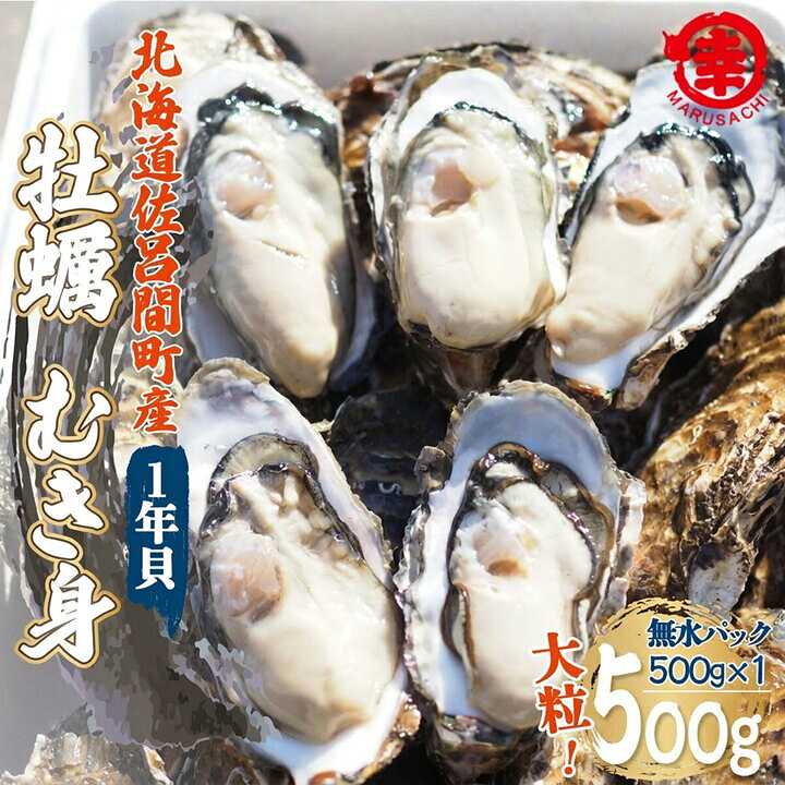 【ふるさと納税】【先行受付】カキ むき身 大粒 1年貝 500g（500g無水パック×1） 佐呂間産（10月中旬以降順次発送開始予定）【 ふるさと納税 人気 おすすめ ランキング 牡蠣 カキ かき 牡蠣貝 むき身 グルメ BBQ 貝類 海鮮 オホーツク 北海道 佐呂間町 送料無料 】 SRMA043