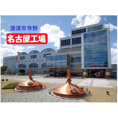 キリン 氷結 グレープフルーツ チューハイ 500ml 1ケース (24本)【1612562】