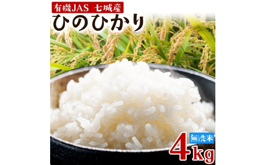 令和7年産 有機JAS 七城産ひのひかり 無洗米 4kg 渡辺農産《30日以内に出荷予定(土日祝除く)》熊本県 菊池市 米 お米 精米 ひのひかり 菊池市産 熊本県産 九州産 送料無料