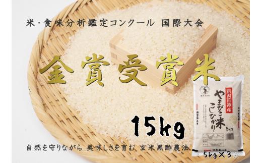 【新米予約 コシヒカリ 15kg（5kg×3袋）】令和8年産 阿賀野市ささかみ産コシヒカリ「やまびこ米」玄米黒酢農法 特別栽培米 白米 農家直送 | 新潟県産コシヒカリ 新潟産コシヒカリ 阿賀野産コシヒカリ 阿賀野コシヒカリ 新潟県産こしひかり こしひかり お米 米 精米 ブランド米 笹神 ささかみ 15キロ 新米 塩むすび 新潟県 阿賀野市 1P05048