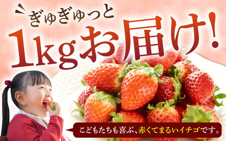 【先行予約】【ジャム用】ゆめのか 1kg 【2027年1月以降順次発送】[JEM007] いちご 苺