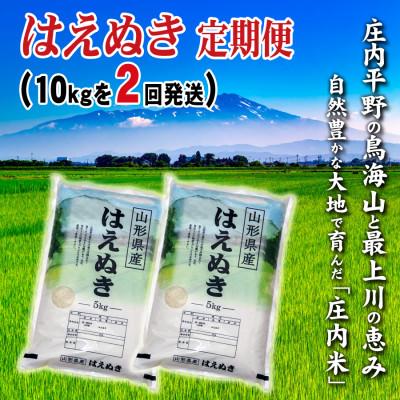 ふるさと納税 酒田市 【毎月定期便】山形県の米どころ庄内平野で育った庄内米　はえぬき10kg全2回