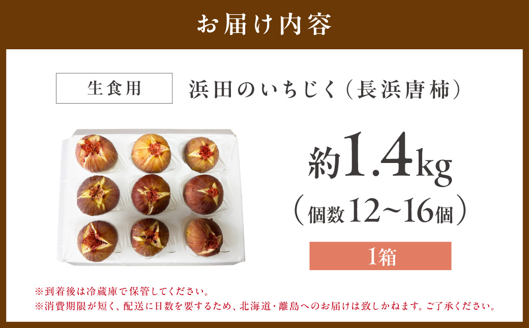 浜田のいちじく懐かしの味！長浜唐柿（蓬莱柿）生食用 約1.4kg 産地直送 ギフト 贈答 新鮮 旬 フルーツ 果物 デザート くだもの＜8月下旬より発送＞【113_2060】