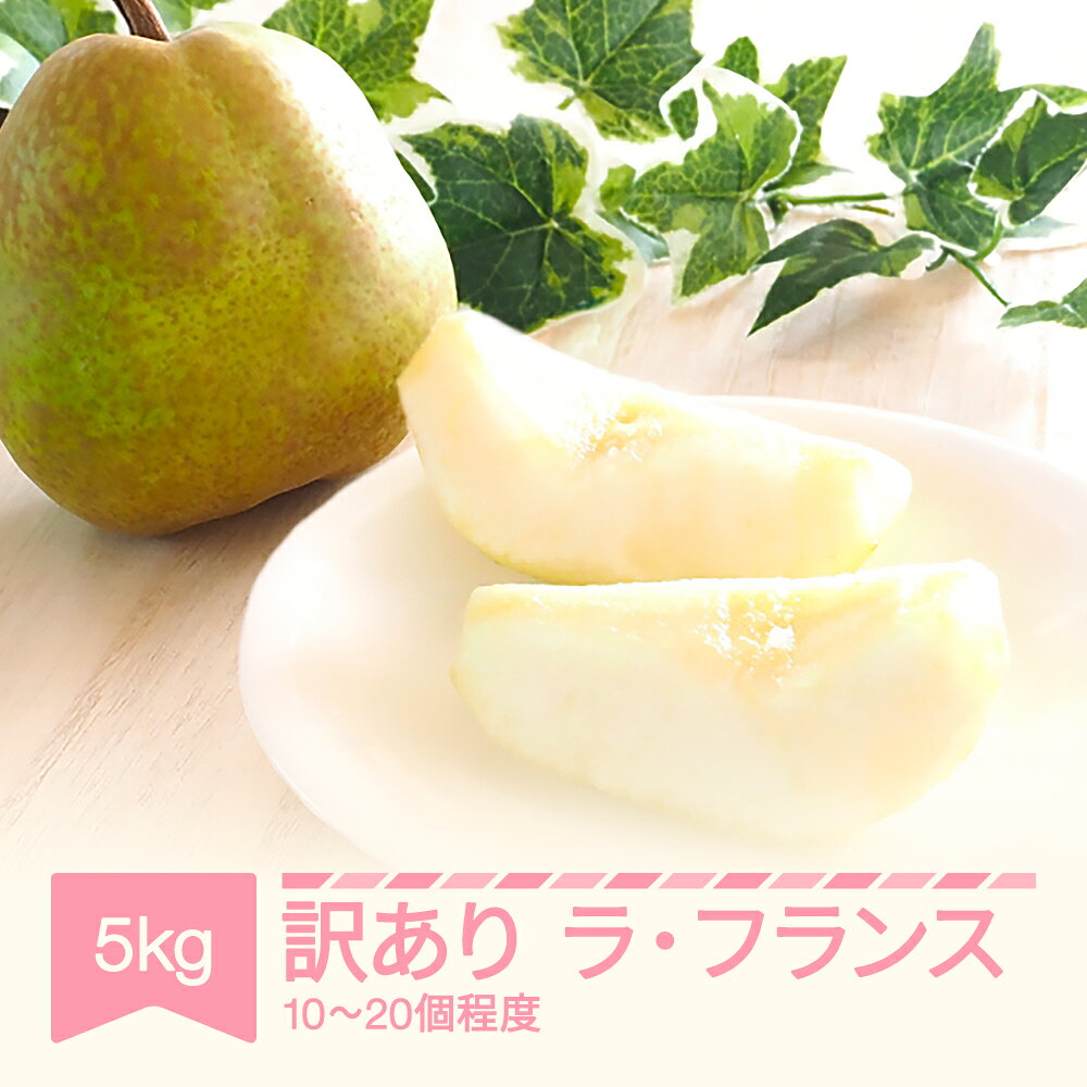 【ふるさと納税】【先行予約】訳あり ラ・フランス 約5kg(10～20個程度) 令和8年産 2026年産 sb-laxxw5