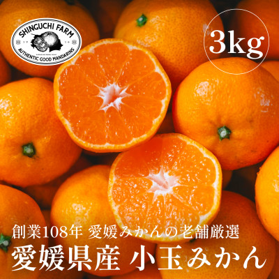 愛媛みかんの老舗厳選【小玉 みかん3kg】【C70−73】【1620185】