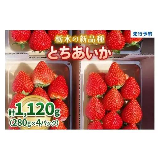 【定期便3回】いちご 栃木の新定番 「とちあいか」 1,120g (280g×4P)| 澳原いちご農園 栃木県 矢板市