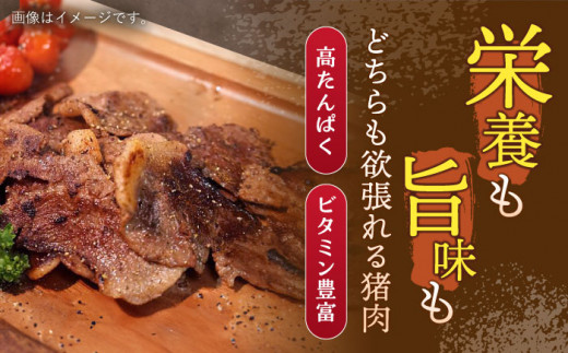 【6回定期便】ジビエ 天然イノシシ肉 角切り肉 600g（カレー・シチュー）【照本食肉加工所】 [OAJ045]