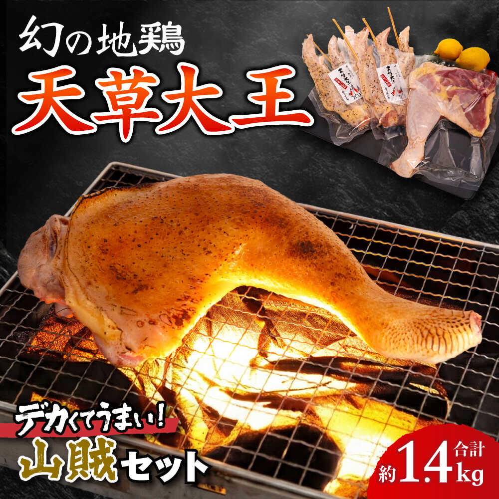 【ふるさと納税】天草大王【山賊セット】幻の鶏 キャンプ BBQ 骨付き もも肉 約800g!! 大手羽先 3本×2セット【くまもと食彩の力】[AYAN035] 鶏肉 鶏 とり 肉 アウトドア キャンプ バーベキュー 手羽先 もも 冷凍 国産 熊本