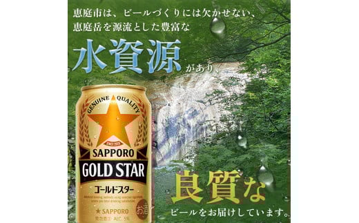 『定期便：全5回』GOLDSTAR 350×24本 ゴールドスター