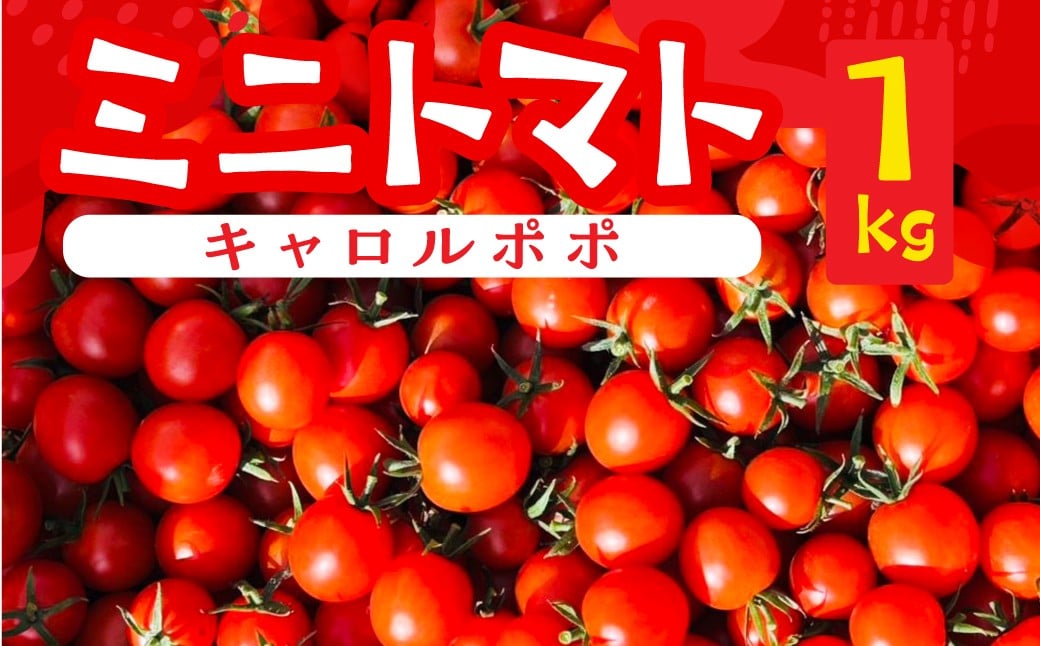 
            先行予約（2026年8月上旬頃から順次発送）ミニトマト（キャロルポポ） 1kg ミニトマト 夏季限定 期間限定 限定 1キロ 飛騨 下呂  とまと トマト 新鮮 国産 野菜
          