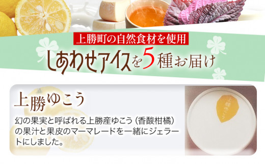 しあわせアイス 5種 セット 計8個 彩食品グループ 《30日以内に出荷予定(土日祝除く)》アイス アイスクリーム ご当地 スイーツ ご当地 アイス 特産品 柑橘 柚香 晩茶 お取り寄せ カップ ジェ