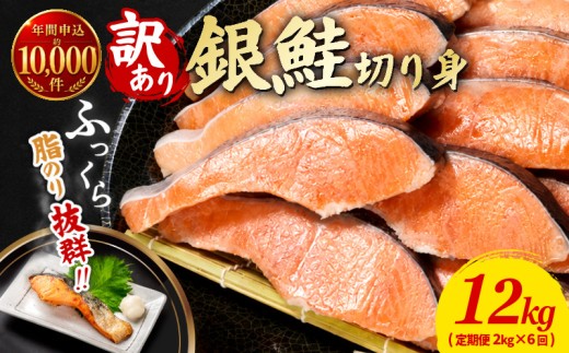 訳あり 鮭 定期便 6回 （2kg × 6回） 計12kg さけ サケ 銀鮭 切り身 切身 サイズ 不揃い サーモン ごはん のお供 おつまみ 酒の肴 魚 魚介 小魚 海鮮 海産物 おかず お米 シャケ 塩銀鮭 塩さけ 塩サケ グルメ 訳アリ 家庭用 弁当 食品 新鮮 冷凍 徳島県