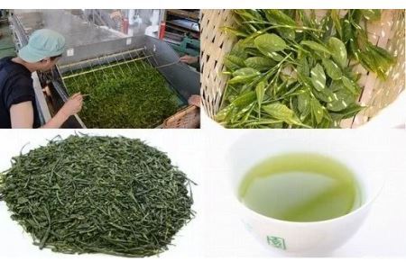 新茶　手摘み　深蒸し茶１００g×３巻箱入り包装　（新茶･令和7年4月下旬より発送　②令和6年度産：今すぐ発送）煎茶　掛川茶　美笠園 1939