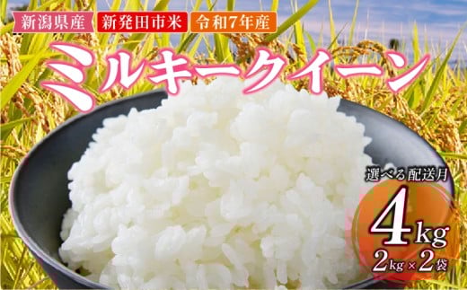 【2026年1月発送】 令和7年産 新発田市米 ミルキークイーン 1月発送 計4kg 2kg × 2袋 米 白米 ご飯 料理 おにぎり 弁当 新潟県 新潟産 新発田産 ミルキークイーン 佐々木耕起組合 2kg 新潟県 新発田市 非常食 備蓄 sasakikoki006_202601