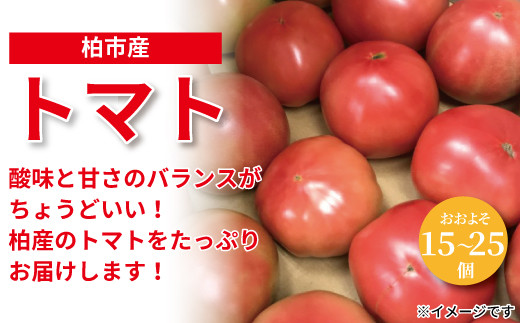 
柏市場直送トマト　4.5kgセット
