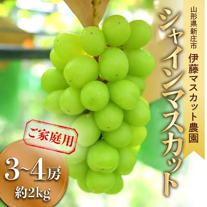 【ご家庭用】シャインマスカット 3～4房（約2kg） ぶどう ブドウ F3S-2965