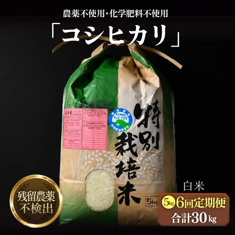 【先行予約】【令和8年産 新米】定期便《6ヶ月連続お届け》コシヒカリ 精米 5kg × 6回（計30kg）特別栽培米 農薬不使用 化学肥料不使用 ／ 残留農薬ゼロ 高品質 鮮度抜群 福井県産 ブランド米 白米 ※2026年10月上旬以降順次発送 [aw063-i003]