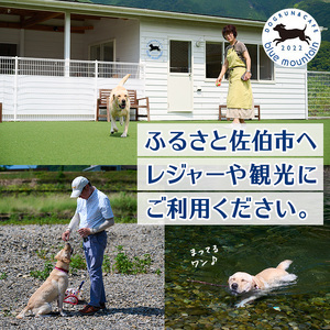 メール便でお届け！ドッグラン利用券(1頭5回分) 犬 ワンちゃん ペット チケット 体験 レジャー 自然 屋内 屋内 ラン 川遊び ポスト投函 大分県 佐伯市【HI002】【ドッグラン＆カフェblue