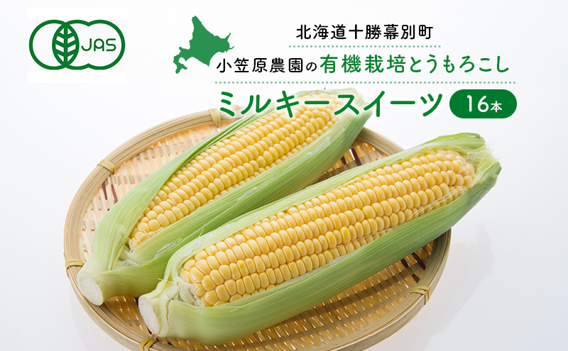 小笠原農園の有機とうもろこし「ミルキースイーツ」16本【北海道十勝幕別】《2025年8月出荷開始先行予約》【 スイートコーン コーン とうもろこし とうきび 黄色 野菜 夏 北海道 幕別町 】