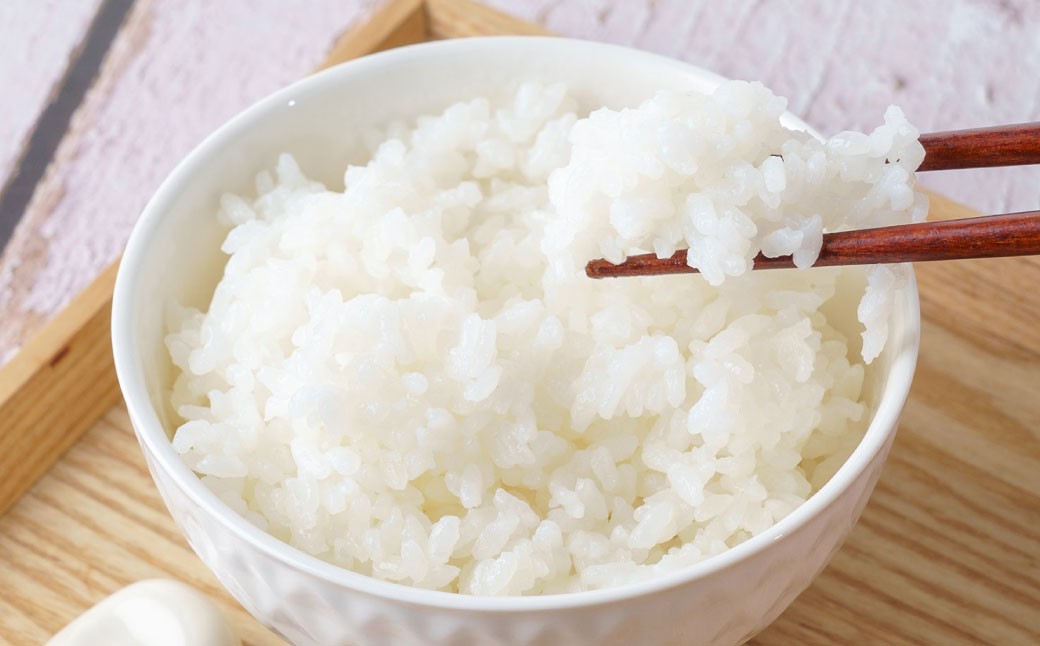【令和7年産新米】〈白米〉はえぬき 20kg