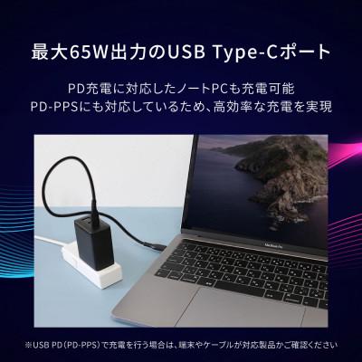ふるさと納税 海老名市 (オウルテック) PD65W対応USB C×2 USB A×1 AC充電器 ブラック |  | 02