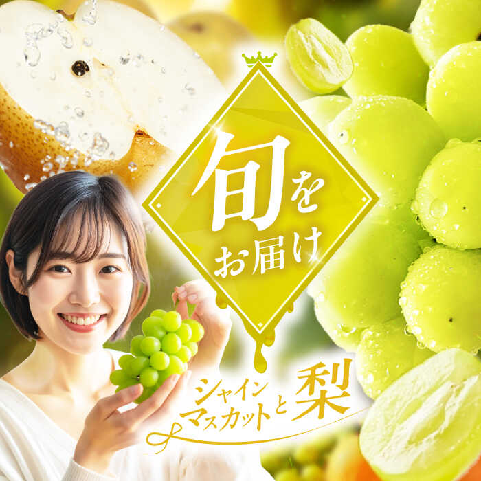 【ふるさと納税】フルーツ詰合せ（シャインマスカット3パック&amp;梨3個）　広川町 / JAふくおか八女農産物直売所どろや[AFAB088]