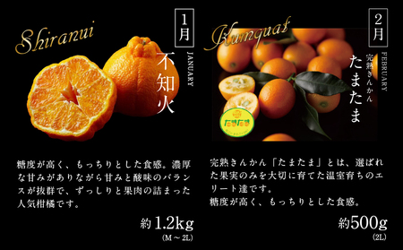 《2026年発送先行予約》【数量・期間限定】贈答用にもオススメ!バイヤー厳選!「フルーツ定期便」(全6回) 果物 フルーツ 定期便