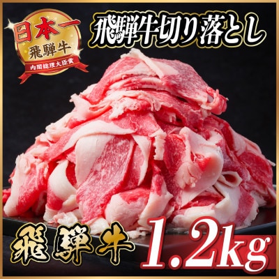 【訳あり】飛騨牛 切り落とし 約1.2kg【配送不可地域：離島】【1534704】